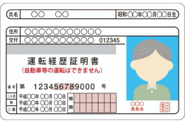 運転履歴証明書のイメージ画像